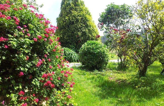 Casa Brais - Foto 30
