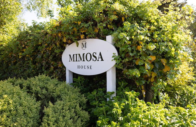 Mimosa House - Foto 20