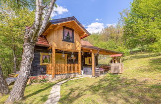 Foto 1 - Chalet Birchwood With Whirlpool and Sauna