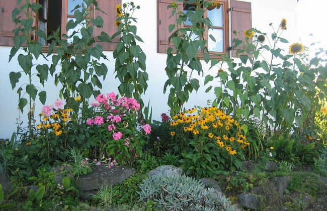 Apartment in the Allgau With View of the Bavarian Alps - Foto 41