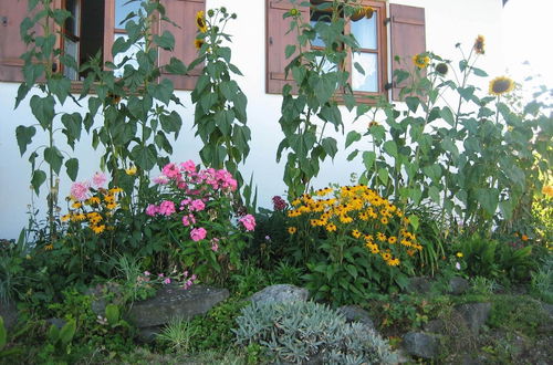 Foto 22 - Apartment With a View of the Bavarian Alps