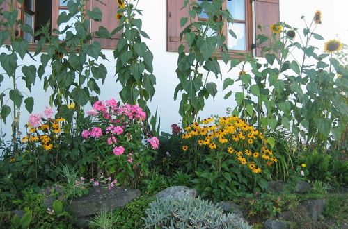 Foto 10 - Apartment With a View of the Bavarian Alps