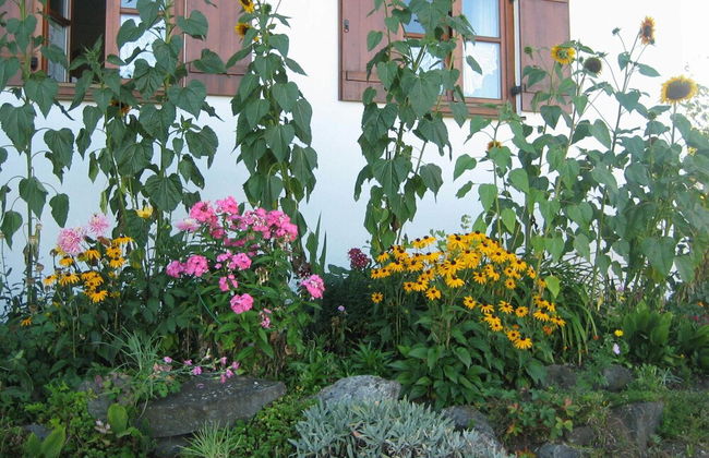 Apartment in Ingenried With Bavarian Alps View - Foto 24