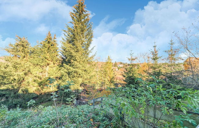 Comely Holiday Home in Guntersberge Near Forest - Foto 40