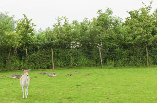 Photo 36 - Farmhouse in Zeeland With Terrace