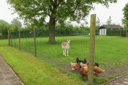 Photo 35 - Farmhouse in Zeeland With Terrace