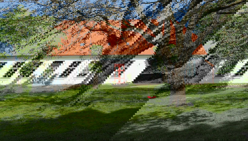 Primary image