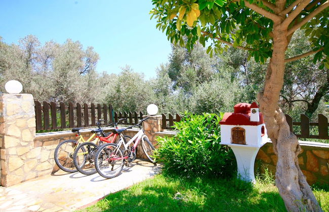 Villa Kirianna Crete - Foto 30