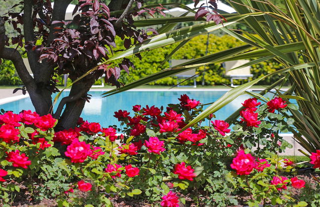 Agriturismo La Rocca - Foto 75