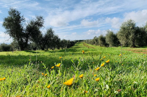 Foto 65 - Tenuta Agricola Fraschiera