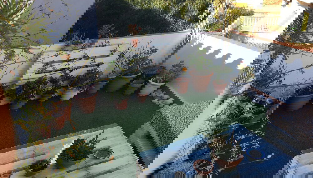 Imagem principal