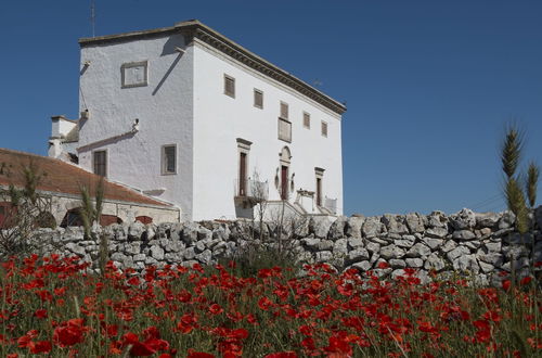 Photo 31 - Masseria Murgia Albanese