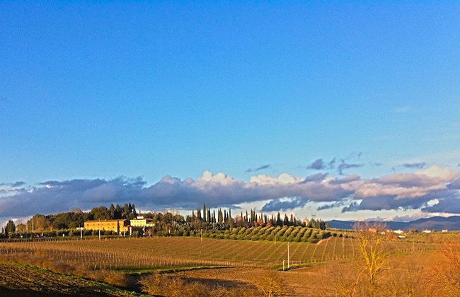 Agriturismo Fattoria Santa Vittoria - Foto 43