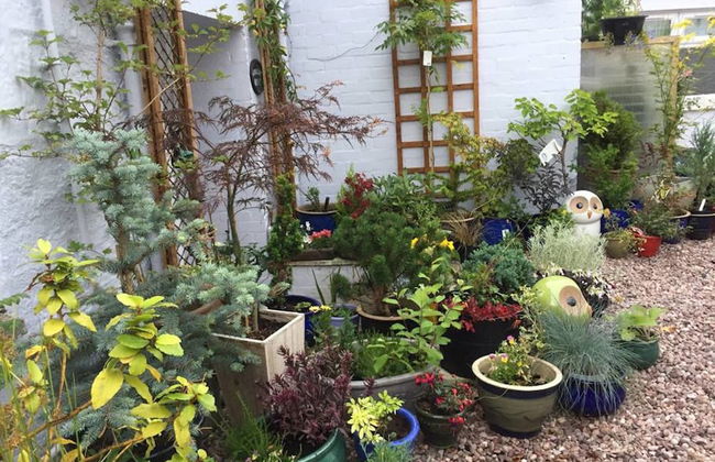 Vollie House - Foto 30