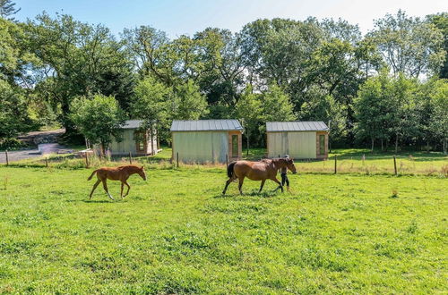 Photo 17 - Sunset Cabins at The Oaks Woodland Retreat