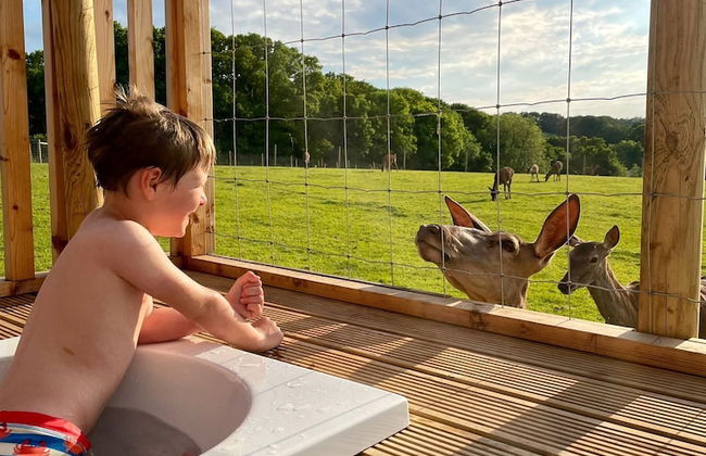 Luxury Safari Lodge Surrounded by Deer!! 'fallow' - Foto 39