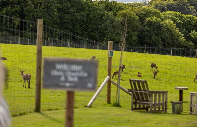Luxury Safari Lodge Surrounded by Deer!! 'roe' - Foto 40