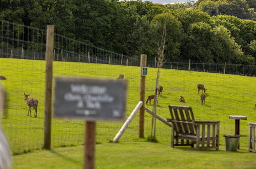 Photo 40 - Luxury Safari Lodge Surrounded by Deer!! 'roe'