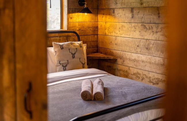 Luxury Safari Lodge Surrounded by Deer!! 'roe' - Foto 9