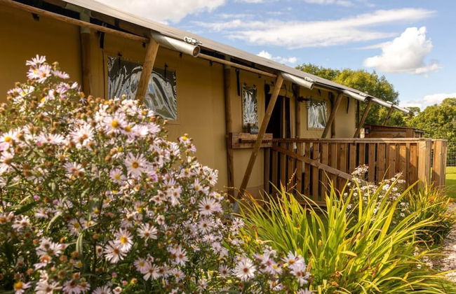 Luxury Safari Lodge Surrounded by Deer!! 'roe' - Foto 48