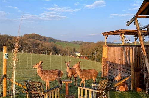 Foto 42 - Luxury Safari Lodge Surrounded by Deer!! 'roe'