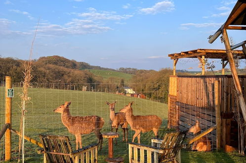 Photo 42 - Luxury Safari Lodge Surrounded by Deer!! 'roe'