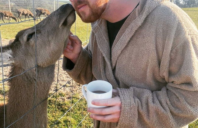 Luxury Safari Lodge Surrounded by Deer!! 'roe' - Foto 27