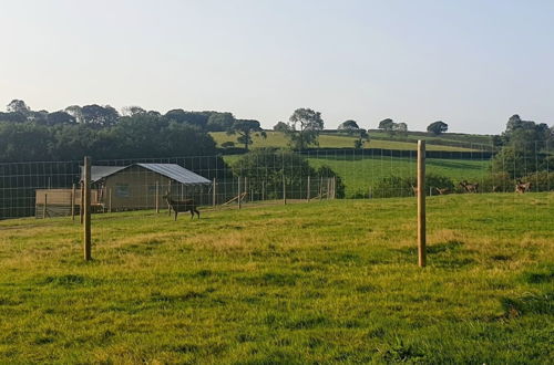 Photo 27 - Luxury Safari Lodge Surrounded by Deer!! 'roe'