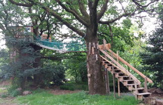 Photo 1 - Cabane Dans Les Arbres - Le Nid Dans Le Chêne