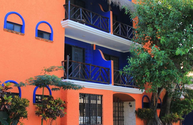 Vida Playa Suites - Photo 40