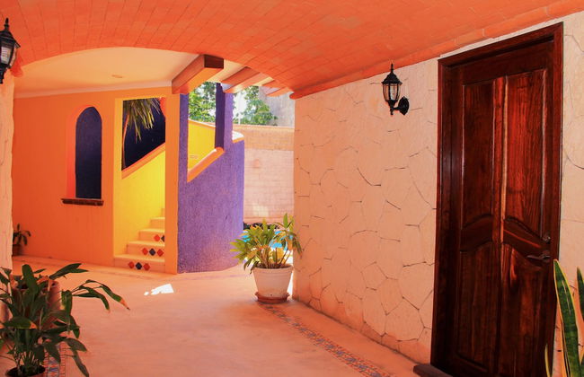 Vida Playa Suites - Photo 2