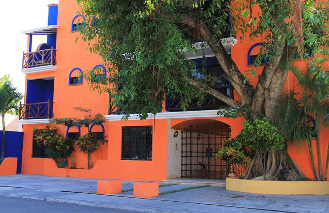 Vida Playa Suites - Photo 36