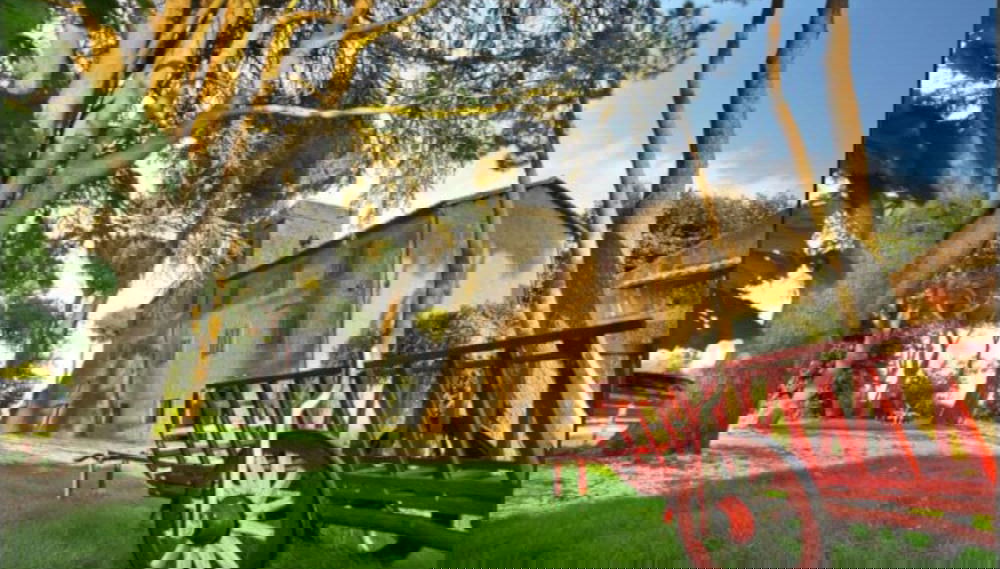 Image principale