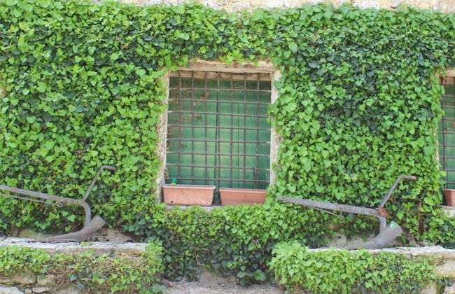 Villa Misita - Foto 49