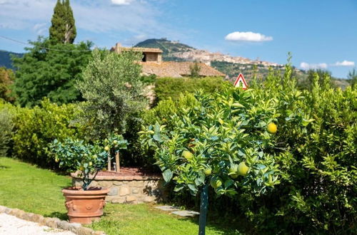 Photo 62 - Fattoria del Nonno Berto