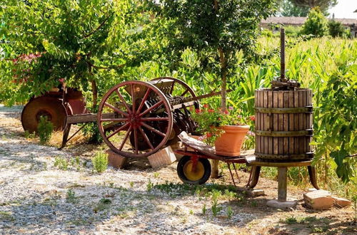 Photo 67 - Fattoria del Nonno Berto