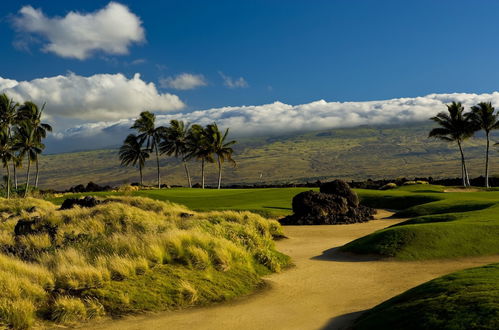 Photo 27 - Fairway S Waikoloa A21 2 Bedroom Condo by RedAwning