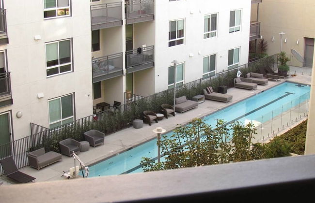 Full Amenities One Bedroom - Foto 19