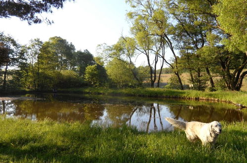 Photo 25 - Dog-friendly Holiday Home in the Knull