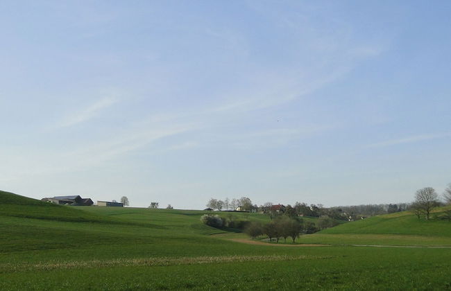 Carles Scheunenhof - Foto 17