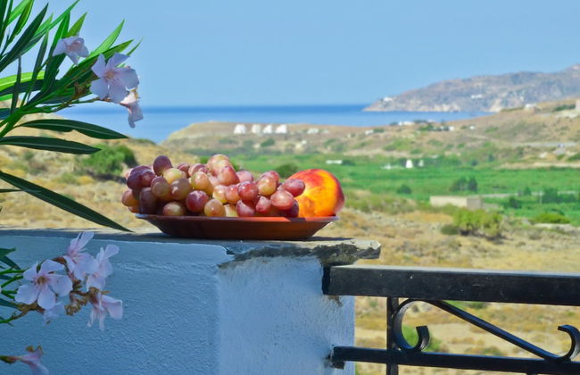 Hotel Naxos Filoxenia - Foto 30