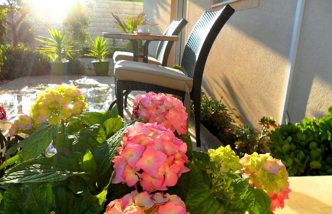 Apartments Pera - Foto 45