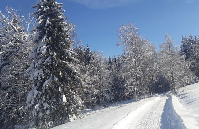 Apartment for 2 Adults & 2 Children near Ski Resort in Black Forest - Foto 31