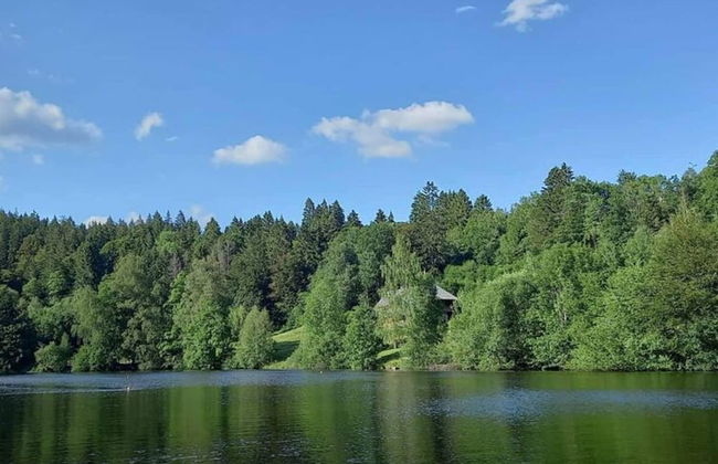 Apartment for 2 Adults & 2 Children near Ski Resort in Black Forest - Foto 30