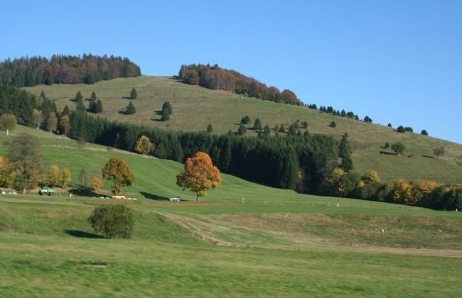 Apartment for 2 Adults & 2 Children near Ski Resort in Black Forest - Foto 32