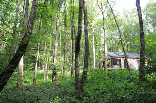 Photo 23 - Modern Chalet Located in the Woods