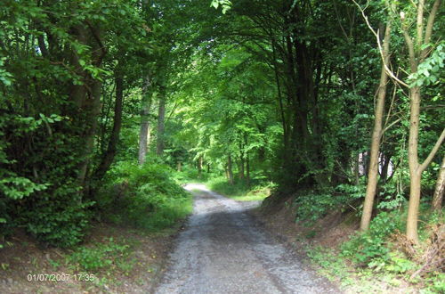 Photo 23 - Ideal Cottage for Family & Friends Holiday - Calm in the Midst of Nature