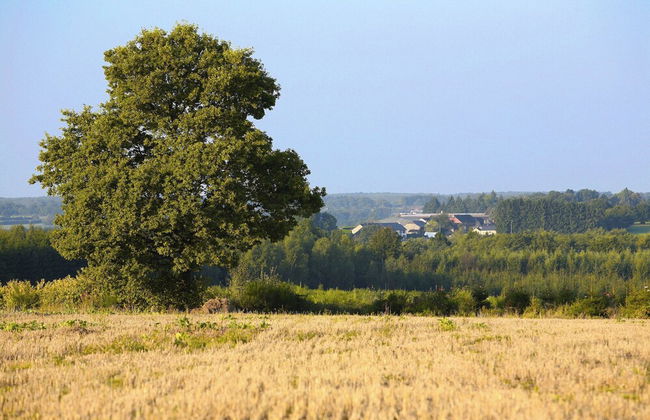 Ideal Cottage for Family & Friends Holiday - Calm in the Midst of Nature - Foto 35