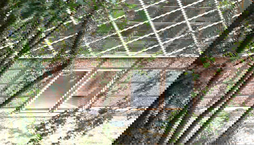Imagem principal
