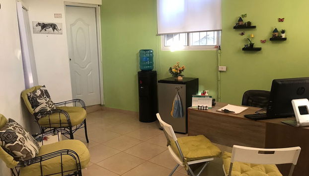 Receção